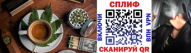 Cannafood конопля  Краснознаменск 