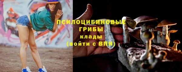 соль курить ск Козловка