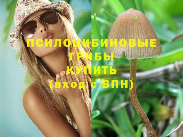spice Козельск