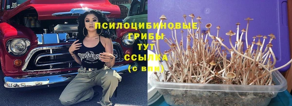 индика Киренск